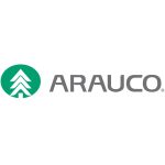 Arauco cuadrado